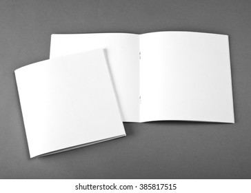 Blank Brochure On Grey Background