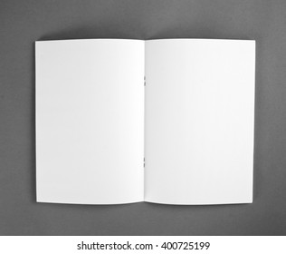 Blank Brochure On Grey Background