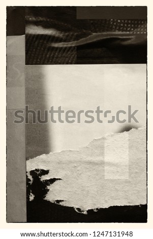 polaroid shows rear view of a woman in pink pants standing by the sea. north sea