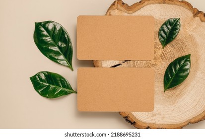 Blank Business Paper Cards On Wooden Stand With Plant Leaves, Top View, Flat Lay. Business Brand, Logo, Social Media Template, Minimal Aesthetic Concept, Brown Tones