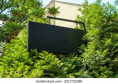 Blank Company Sign Surrounded By Trees For Logo Branding Mockup 