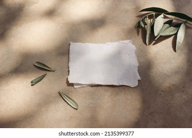 Blank cotton business cards mockups with olive leaves and branches. Marble backgound, sunlight, shadow overlay. Modern template for branding identity. Mediterranean summer, vacation design. Flat lay, 