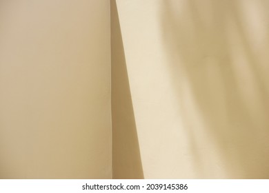 Blank Cream Wall With Shadows