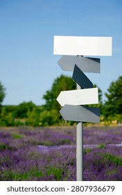 Blank directional signpost with empty arrow signs standing in a blooming lavender field against a clear blue sky. Travel, destination, navigation, tourism, choice and copy space concept.