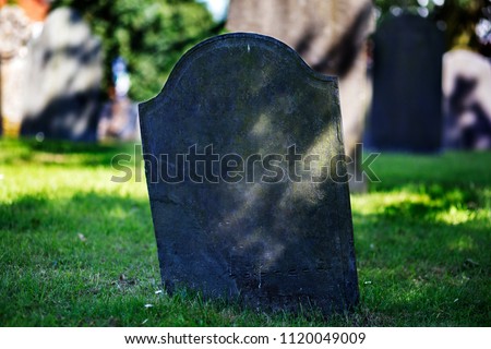 
Blank gravestone in graveyard. Old, decayed and grunge, ready for text. Trees and graves in background.