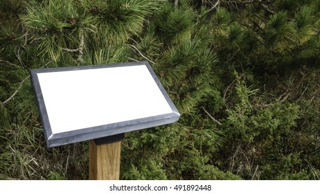 Blank Interpretive Trail Sign In A State Natural Area In Northern Wisconsin, USA - Add Your Own Graphics Or Message