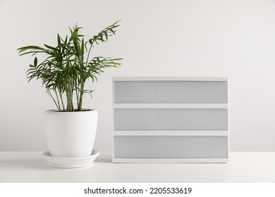 Blank Letter Board And Beautiful Houseplant On White Table. Mockup For Design