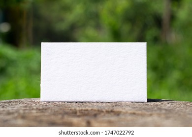 Blank Letterpress Business Card Standing On A Stump Outdoor Stage And Green Bluured Nature Background As Template For Design Presentation, Brand Promotion, Portfolio Etc. Camping Nature Concept.