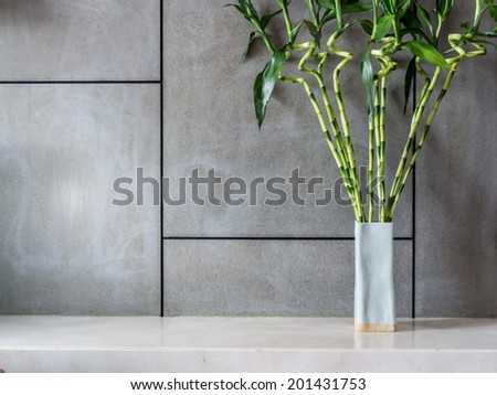 Blank modern room decorated with vase of Lucky bamboo (Belgian evergreen)