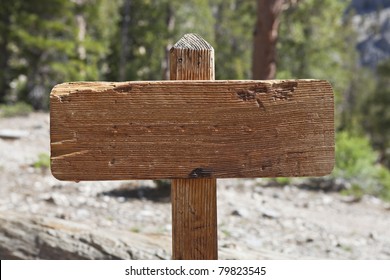 Blank Old Wooden Trail Sign In A Pine Forest.