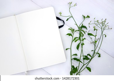 Carnet High Res Stock Images Shutterstock