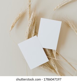 Blank paper business cards with mockup copy space on rye, wheat stalks on beige background. Minimal business template. Flatlay, top view. - Shutterstock ID 1786047197