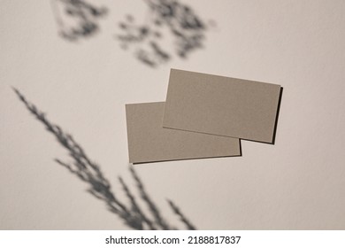 Blank Paper Business Cards On Background With Leaf Shadows. Logo Design Showcase.