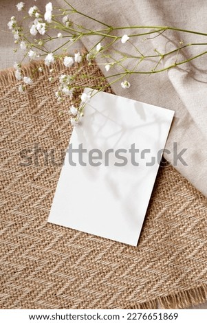 Similar – Image, Stock Photo Old crumpled paper with white flowers white background