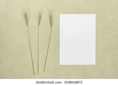 Blank Paper Card Mockup With Ears Of Wheat On A Beige Plaster Background. Invitation Template. Top View, Flat Lay