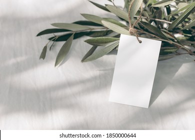 
Blank Paper Gift Tag, Label Mockup With Rope And Olive Tree Branch On White Table Background In Sunlight. Summer Sale, Branding Concept. Mediterranean Design. Selective Focus.