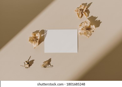 Blank paper sheet card with mockup copy space and dry flower buds with sunlight shadow on beige background. Minimal business brand template. Flat lay, top view