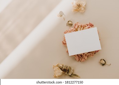 Blank Paper Sheet Card With Mockup Copy Space And Dry Flower Buds With Sunlight Shadow On Beige Background. Minimal Business Brand Template. Flat Lay, Top View