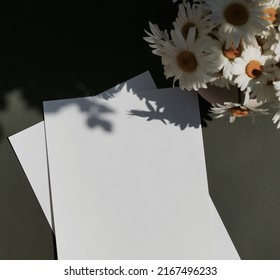 Blank Paper Sheet Card Mockup,bouquet Of Daisies Flowers And Sunlight Shadow Top View On Green Background. Copy Space. Flat Lay  Minimal Template, Invitation Greeting Card, Wedding Stationary  Scene.