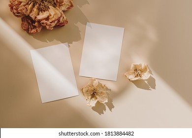 Blank paper sheet cards with mockup copy space and dry flower buds with sunlight shadow on beige background. Minimal business brand template. Flat lay, top view