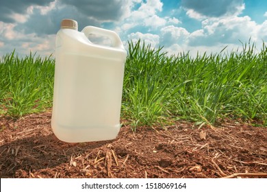 Blank Pesticide Jug Container Mock Up In Wheatgrass Field. Using Chemical In Crop Protection Agricultural Activity.