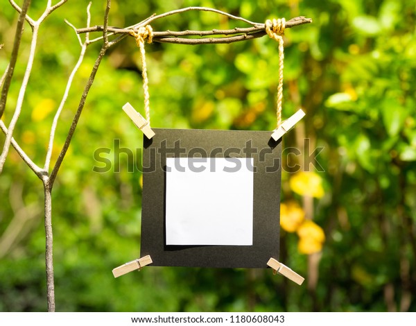 blank picture frame\
hanging on branch tree with blurred background, blank photo frame\
with blurred background