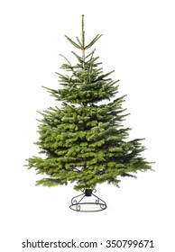 Blank Plain Christmas Tree 