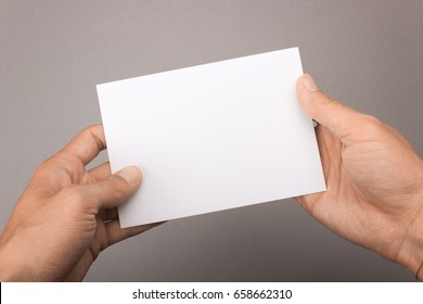 Blank Postcard In Hands On A Gray Background. Leaflet A6 Mockup