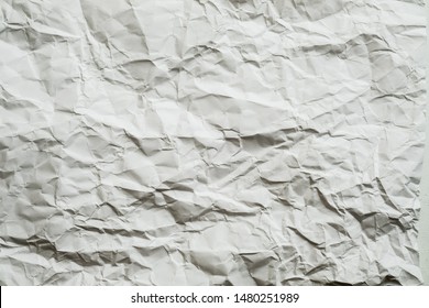 Blank Sage Green Crumpled Paper Wrinkled Stock Photo 1480251989 ...