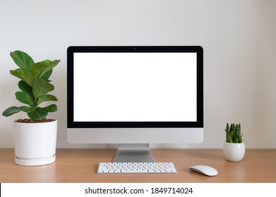 Blank screen of All in one Computer with Fiddle Fig and Sansevieria cylindrica Plants on table - Shutterstock ID 1849714024