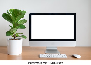 Blank Screen Of Desktop Computer With Fiddle Fig Tree Pot On Wooden Table