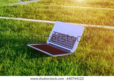 Blank screen of the laptop in the green grass.

