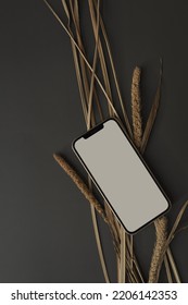 Blank Screen Mobile Phone With Copy Space On Dark Background. Dried Grass Stem. Flat Lay, Top View. Copy Space Mockup Template.