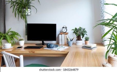 Blank Screen Of Monitor In Computer On Wooden Office Desk In Stylish Business Room With White Wall And Mock Up. Light Interior Of Office Space With Plants And Laptop In Vintage Style. Banner.