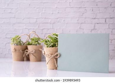 Blank Screen On Paper Card And Flower Pot, Mockup.