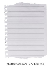 A blank sheet of lined paper torn from a spiral bound notebook with jagged edges and punch holes on an isolated background.