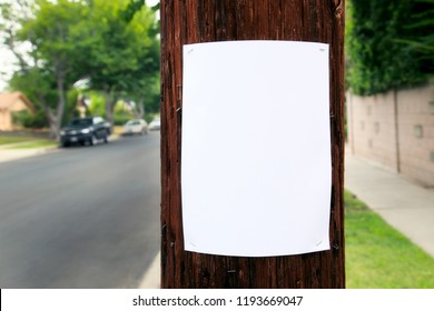 Blank sign posted on a pole - Shutterstock ID 1193669047