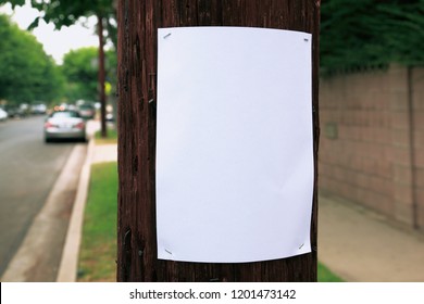 Blank Sign Stapled To A Telephone Pole