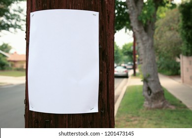 Blank Sign Stapled To A Telephone Pole