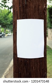 Blank Sign Stapled To A Telephone Pole