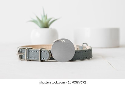 Blank Silver Round Pet Tag With Gray Collar On White Background, Dog Tag Mockup
