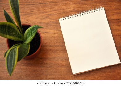 Blank Spiral Notepad Natural Wooden Background With Snake Plant Leaves In Flower Pot. Mockup Notepad With Green Sansevieria In Pot Houseplant On Wooden Backdrop. Top View, Copy Space.