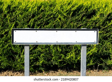 Blank Street Name Sign Against A Green Bush Background.