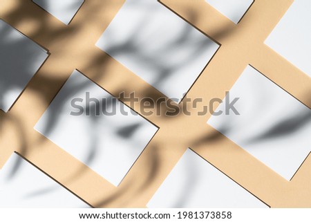Blank white businesscard on beige background with creative floral shadow