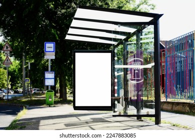 blank white lightbox and glass bus shelter at busstop. empty vertical outdoor billboard. mockup base. lush green street setting. urban background. place holder for poster and advertising or ad display