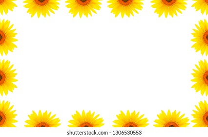 Sunflower Border Template Illustration Stock Vector (Royalty Free ...