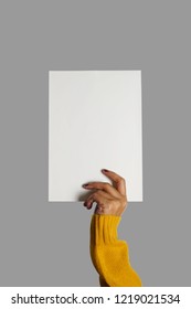 Blank White Paper In Hand Of Woman Wearing Mustard Yellow Sweater With Fingernails Painted On Grey Isolated Background For Number, Letter, Words Written. (close Up, Space For Text)