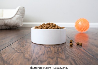 Download Pets Mockup High Res Stock Images Shutterstock