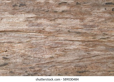 Blank Wood Textures Wood Textures Wooden Stock Photo 589030484 ...