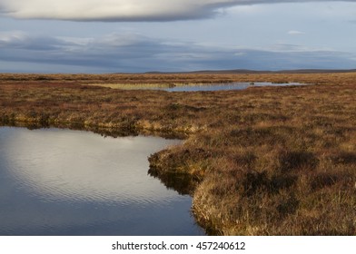 Blanket Bog Peatland Landscape, Forsinard Scotland/